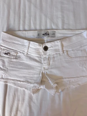 Hollister shorts - Vita hollister shorts stl w23