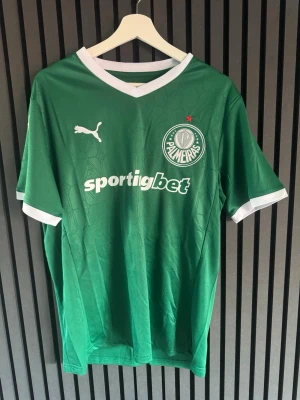 Grön Palmeiras matchtröja Puma - Säljer en grön Palmeiras matchtröja från Puma med vitt tryck och detaljer. Tröjan har klubbmärke och sponsorlogga på bröstet samt vit V-ringad krage och vita ärmslut. Tillverkad i lätt och ventilerande material, perfekt för fotboll eller träning.