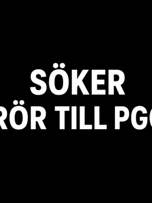 Söker rör till PGO - Letar efter rör till PGO skriv om ni har helst under 700