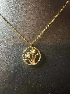 Guldigt halsband med blomma - Ett elegant halsband med en tunn kedja i guld och ett runt hänge med två stiliserade blommor. Hänget har en dekorativ ram och blommorna är detaljerade med små stenar i mitten. Perfekt för dig som gillar naturinspirerade smycken.
