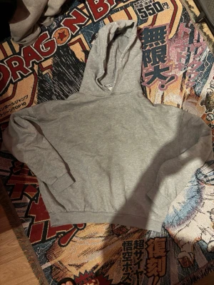 Acne Studios hoodie - Säljer min Acne Studios kofta eftersom inte använder den så ofta. Storlek S oversize