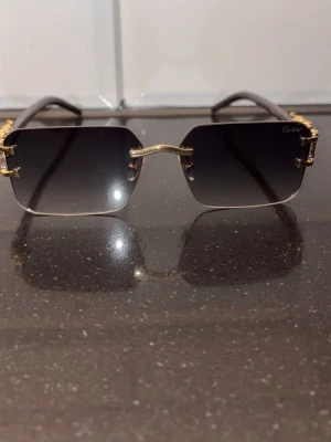 Solglasögon  - Solglasögon 