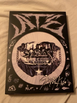 Stray kids ate - Inga includions