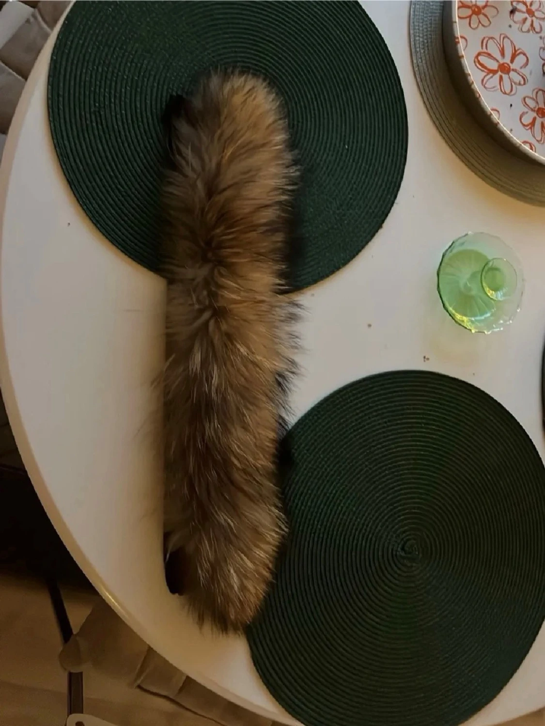 Svart dunjacka från Canada Goose - 3