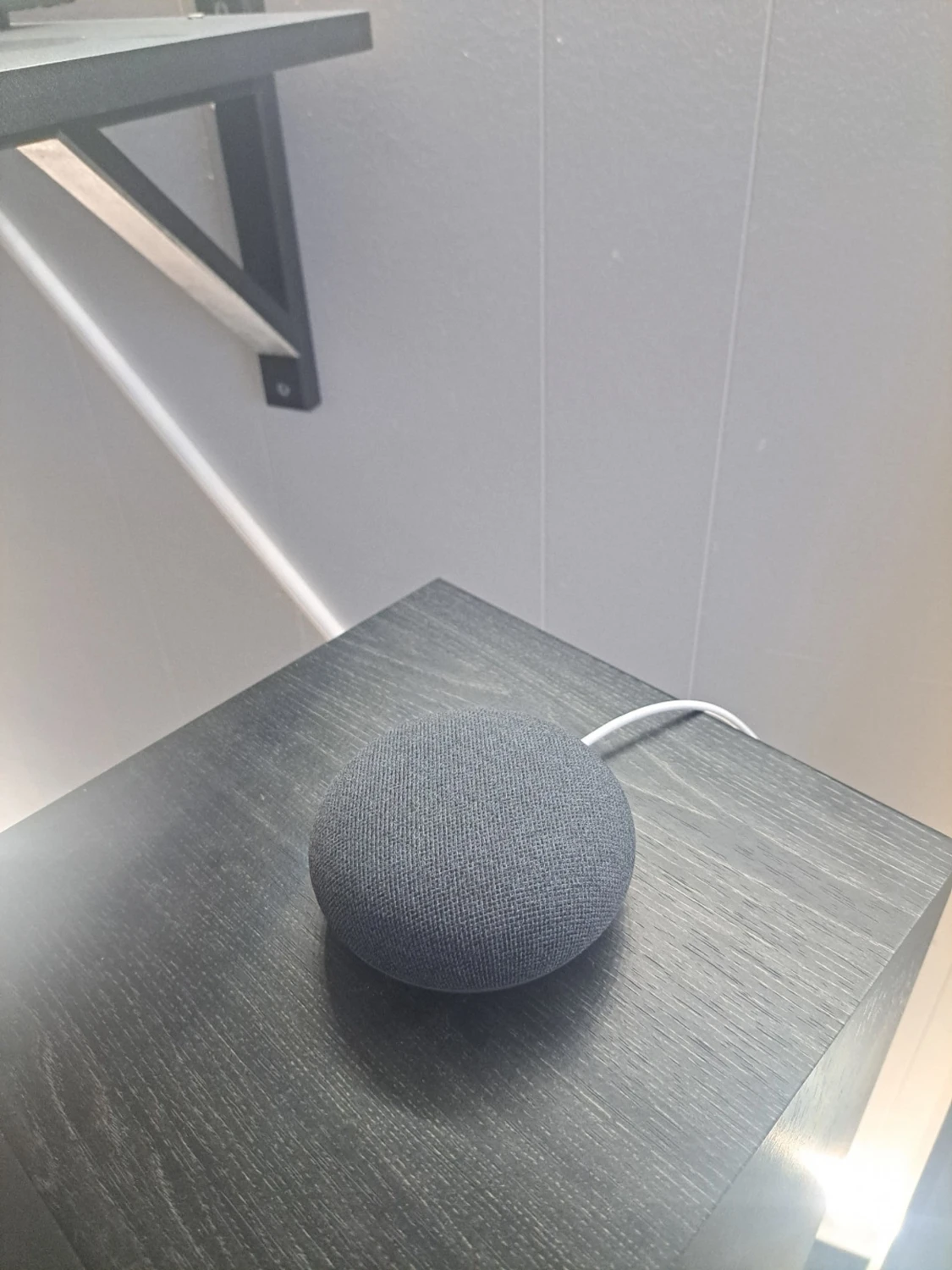 Goggle home mini - 1