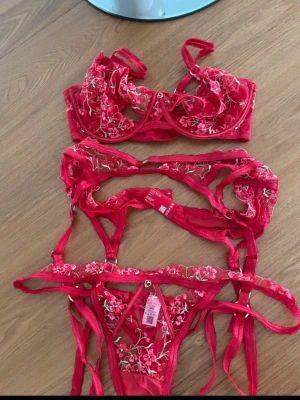 Rött nytt set Lounge - Säljer ett helt nytt set från lounge, aldrig använt. Trosor i XXL. Strumpband i XXL som är justerbart i banden. BH i 90D. Finns på fler sidor