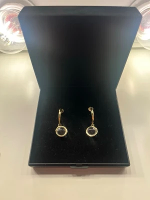 Guldpläterade örhängen med pärldetalj - Snygga örhängen i guldpläterad metall med rund form och en liten pärldetalj längst ner. Perfekta för att ge din look en elegant touch. Levereras i en svart ask.