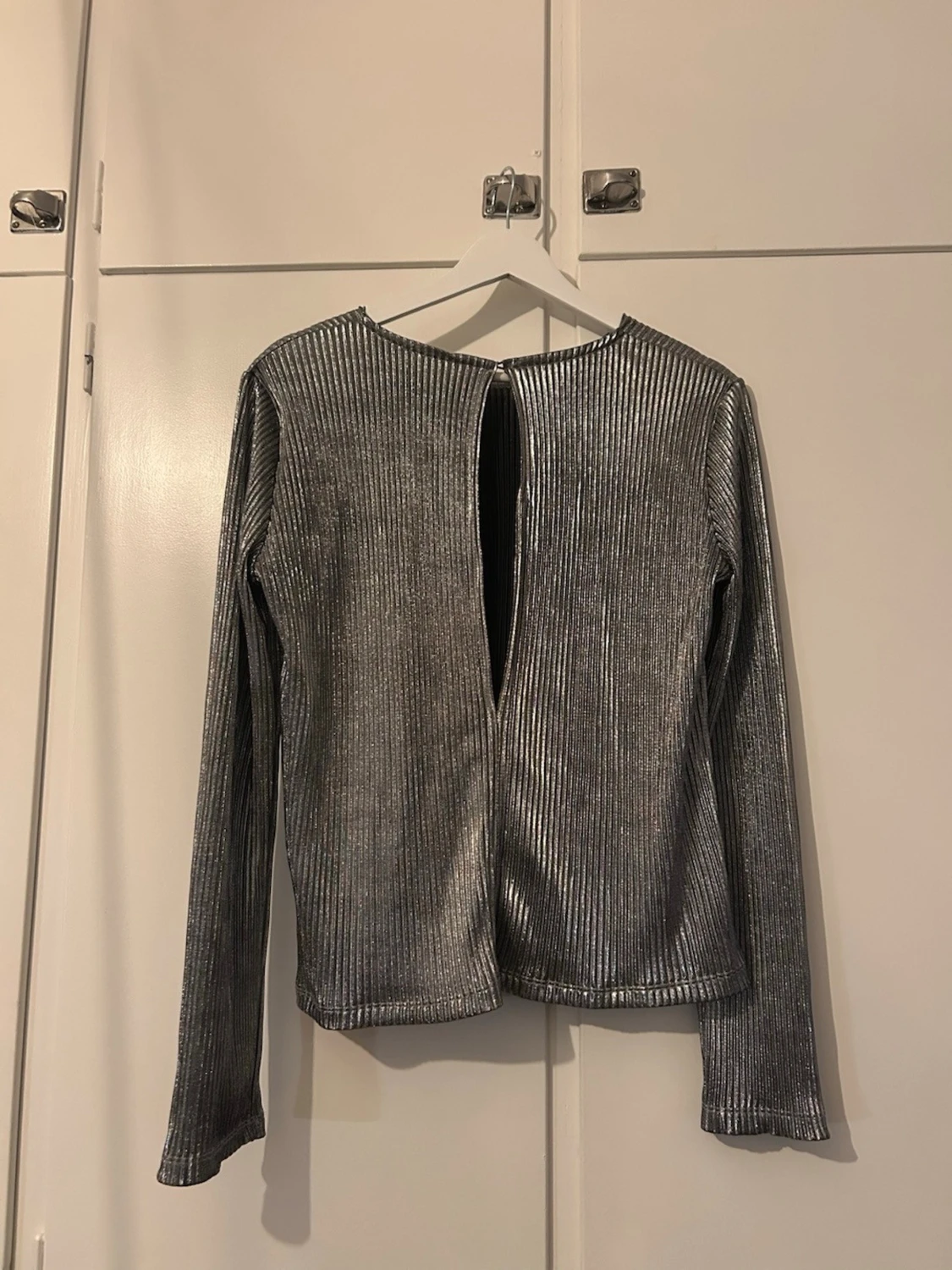 Silvrig topp - 2
