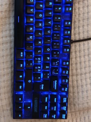 Arrogant mekaniskt tangentbord blå LED - Säljer ett svart mekaniskt tangentbord från Arrogant med blå LED-belysning. Tangentbordet har nordisk layout med specialtecken och USB-anslutning. Perfekt för gaming eller skrivarbete, snygg design med bakgrundsbelysta tangenter.