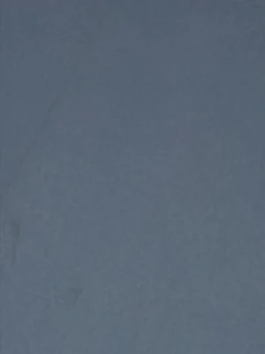 Grå Moncler hoodie med dragkedja - Snygg grå hoodie från Moncler med dragkedja, huva och dragsko. Ränder i rött, vitt och blått på huvan och ärmsluten. Moncler-logga på ärmen. Perfekt för en sportig och trendig look. Storlek m men passar typ xs 