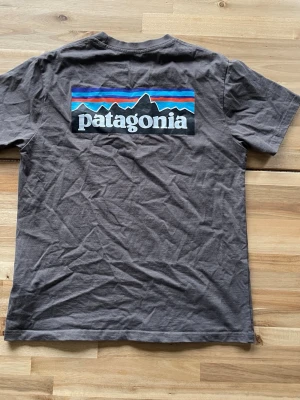 Grå Patagonia t-shirt, storlek M - Snygg grå t-shirt från Patagonia med stor färgglad logga och bergmotiv på ryggen samt mindre logga på bröstet. Klassisk rund hals och korta ärmar. Tillverkad i mjuk bomull som känns skön mot huden. 