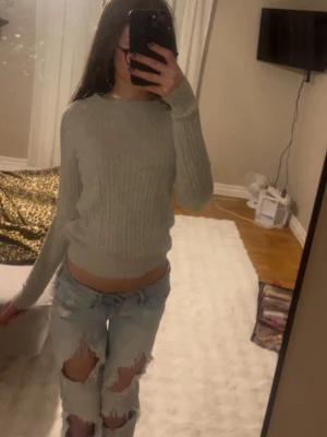 Ljusgrå ribbstickad tröja - Säljer en ljusgrå ribbstickad tröja med rund hals och långa ärmar från Gina tricot. Tröjan har en tight passform och breda muddar vid ärmslut och nederkant. Perfekt att matcha med jeans för en enkel och snygg look.