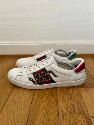Gucci ace snake sneakers  - Säljer nu dessa Gucci skor | Fint skick | Storlek 44,5 | Självklart äkta | Hör gärna av er vid frågor eller funderingar 