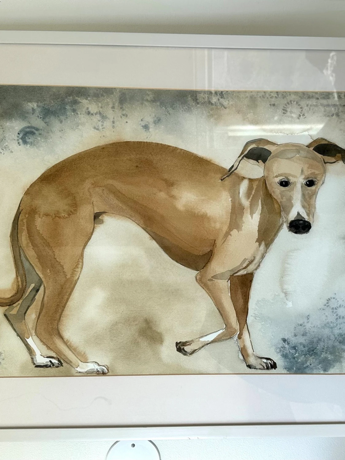 Akvarellmålning av vinthund, 83x63cm - 6