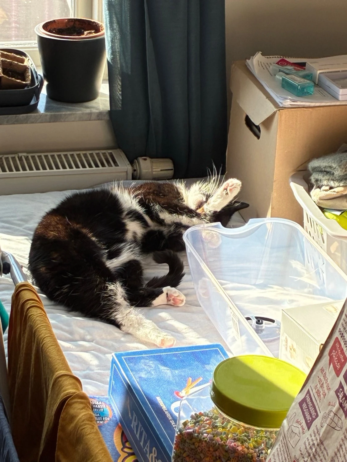 Rosa klänning från s.Oliver - 4