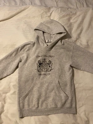 Grå hoodie från Bvaldi med tryck - Säljer en grå hoodie från Bvaldi. Passar dig som är 160-170 ungefär, inga defekter, skriv vid minsta lilla intresse.