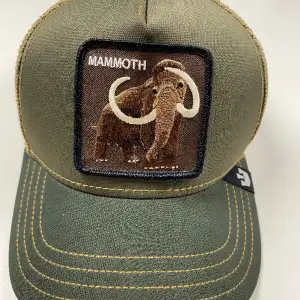 Säljer denna exklusiva Mammut keps 🧢 från Gooring Bros som inte går att få tag på längre (du kan kolla upp), samt aldrig lanserats i Europa | Kepsen är aldrig använd och alla lappar och taggar sitter självklart kvar.   |  Nytt pris: 899   | Mitt pris: 399