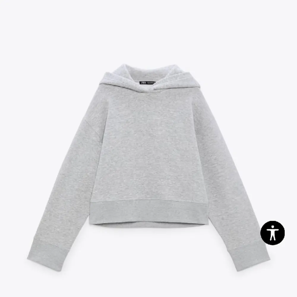En grå hoodie från zara i mycket bra skick, andvänd ca 4 gånger och se ut som ny. (Kan även tänka mig byta mot något annat!!) Du står för frakt💕(lånade bilder) originalpris 350. Hoodies.