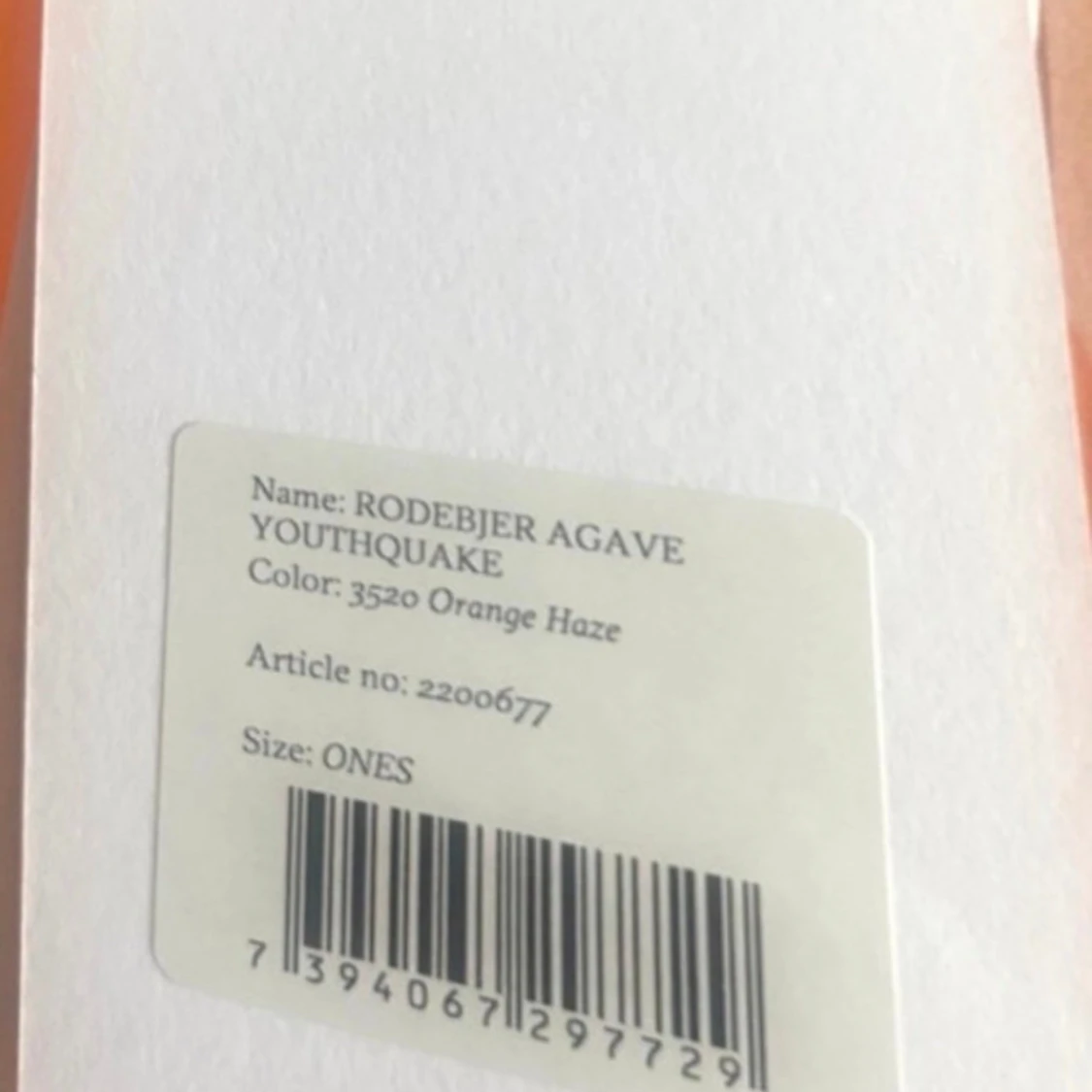 Rodebjer agave  - 93