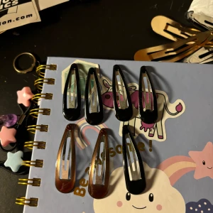 7st hårspännen - 7st hårspännen, två bruna och 5st svarta. I braskick