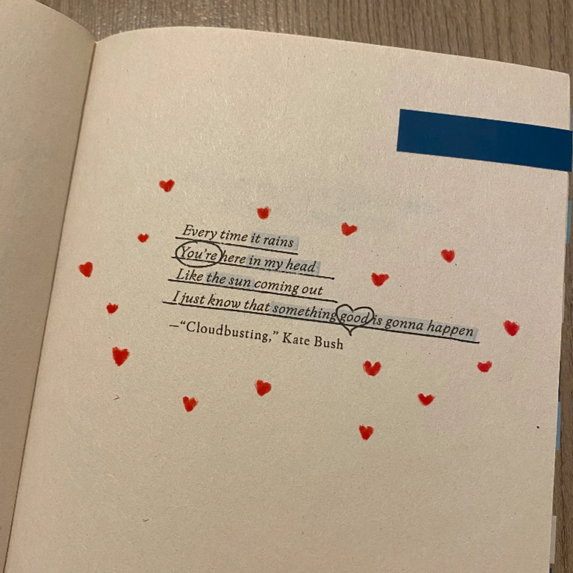 Weather Girl Bok - 91