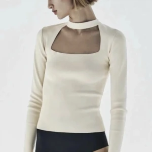 Zara choker topp - Bra skick, säljer pga kommer inte till användning längre🌸