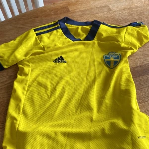 Den här fotbollsstälet har blivit för litet för mig pris kan diskuteras  - Fotboll Sverige 