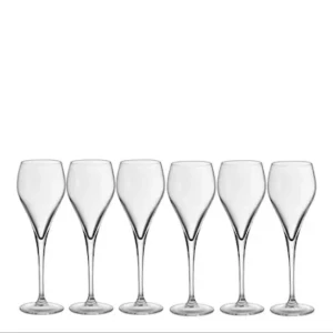 champagneglas - 6st champagneglas 16 cl