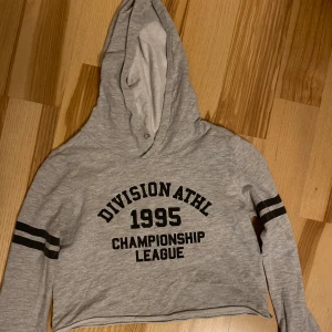 Hoodie strl 146/152 - En kortare modell i begagnat skick. Kolla gärna in mina andra annonser för samfrakt. Jag säljer mycket barnkläder just nu .