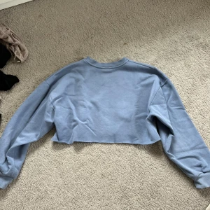 Hoodie  - Säkerhet denna för att den blivit förliten och inte kommer till användning 