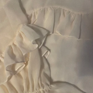 Blus - Jättefin vit genomskinlig blus från zara, använd en eller två gånger kanske