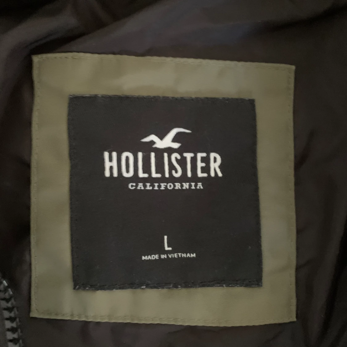 Holister Jacka