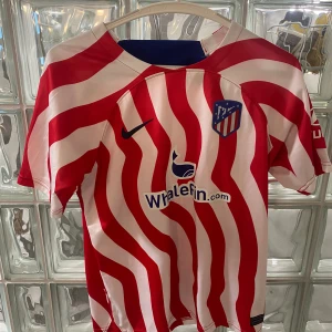 Joao Felix tröja  - Inte original Nike / pris går diskuteras vid snabb affär 