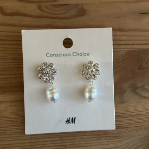 Örhängen från H&M  - Helt oanvända örhängen från H&M