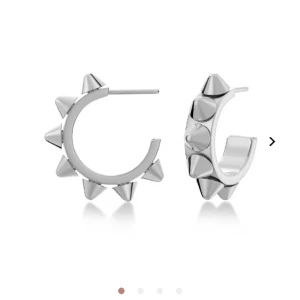 Edblad örhängen!! - Säljer mina trendiga örhängen för att jag inte är silver tjej, de är toppen skick som nya, pris kan diskuteras tryck på köp nu!❤️❤️