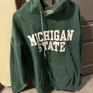 Michigan state hoodie  - Vintage