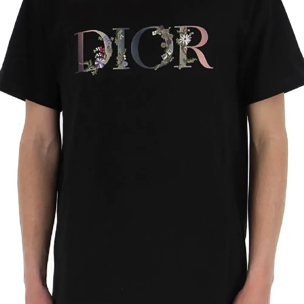 Diori T-shirt i strl XL, skick 9/10 kommer från ett rökfritt och djurfritt hem, skriv vid frågor, kan mötas upp i Sthlm city eller skickas med Postnord. . T-shirts.