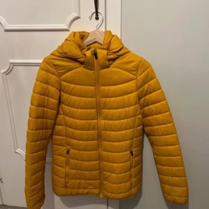 Everest jacka - Priset går att diskutera vid snabb affär 