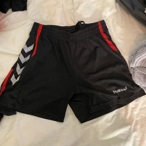 Hummelshorts  - Hummelshorts i storlek L damstorlek  