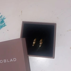 Edblad örhängen piggar - Säljer Edblad örhängen i fint skick jag säljer dom för jag tycker inte guld passar bra på mig så jag vill köpa dom i silver ist jag har endast provat dom två gånger. 