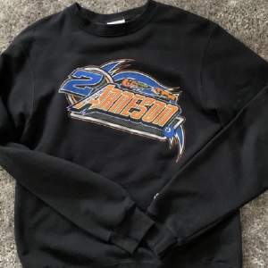 Champions Vintage Sweatshirt Skit najs o skön om du vill ha stil