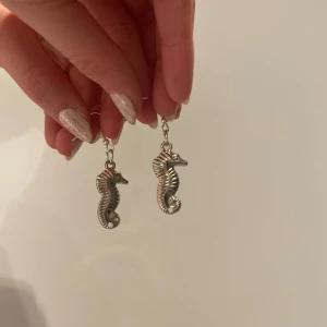 Sea horse - Det är ett par handgjorda örhängen storlek medium 