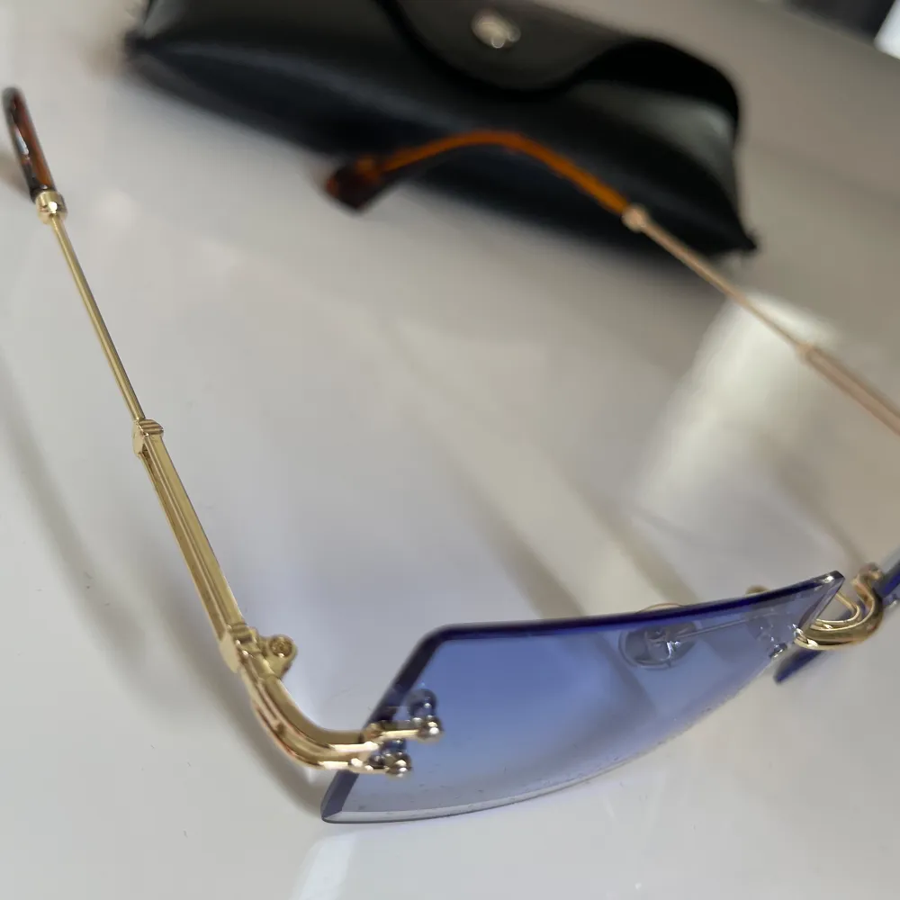 Blåa solglasögon med leopard mönster på sidan från Shein, y2k style. Dem har aldrig använts sedan jag köpte dem i Januari. Jätte bra skick. Fodral tillkommer.. Accessoarer.