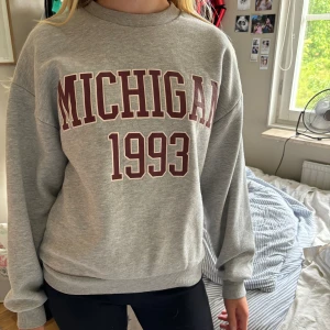 En Gina sweatshirt 💕 - Tröjan är i bra skick och väldig skön, skriv om du är intresserad av att köpa den💕💕