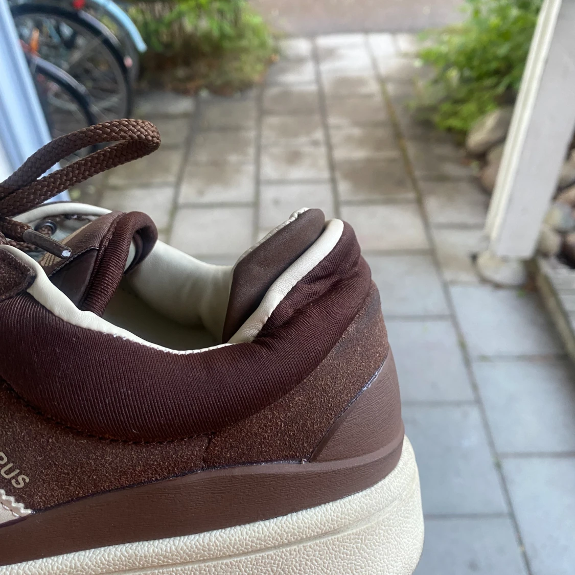 Adidas campus bruna  - 91