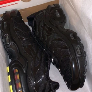 Nike Tn Skor - Säljer mina nästan oanvända Nike Tn skor. Köpte de för 7 månader sen men har användt de Max 7ggr. De är i mycket bra skick. Kom privat för frågor🫶