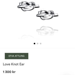 Efva Attling  - Fina örhängen från efva attling i silver💞aldrig använda, ligger kvar i förpackningen 