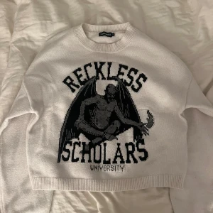 Reckless scholars sweatshirt - Sparsamt använd, deadstock så går ej att köpa längre❤️‍🔥