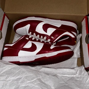 Nike Dunk - Nike Dunk low röda perfekt till våren! använda några få gånger men i väldigt fint skick. köptes för 2400kr