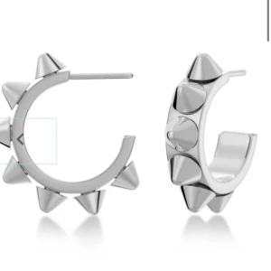 Örhängen - Ett par super fina örhängen från Edblad, dessa är i bra skick och rengjorda. Använd 2-3 gånger. 